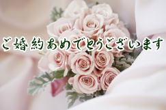 ̉ԑ̎ʐ^